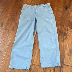 American Eagle Outfitters Stretch Light Green stovepipe Pants Womens 12 short